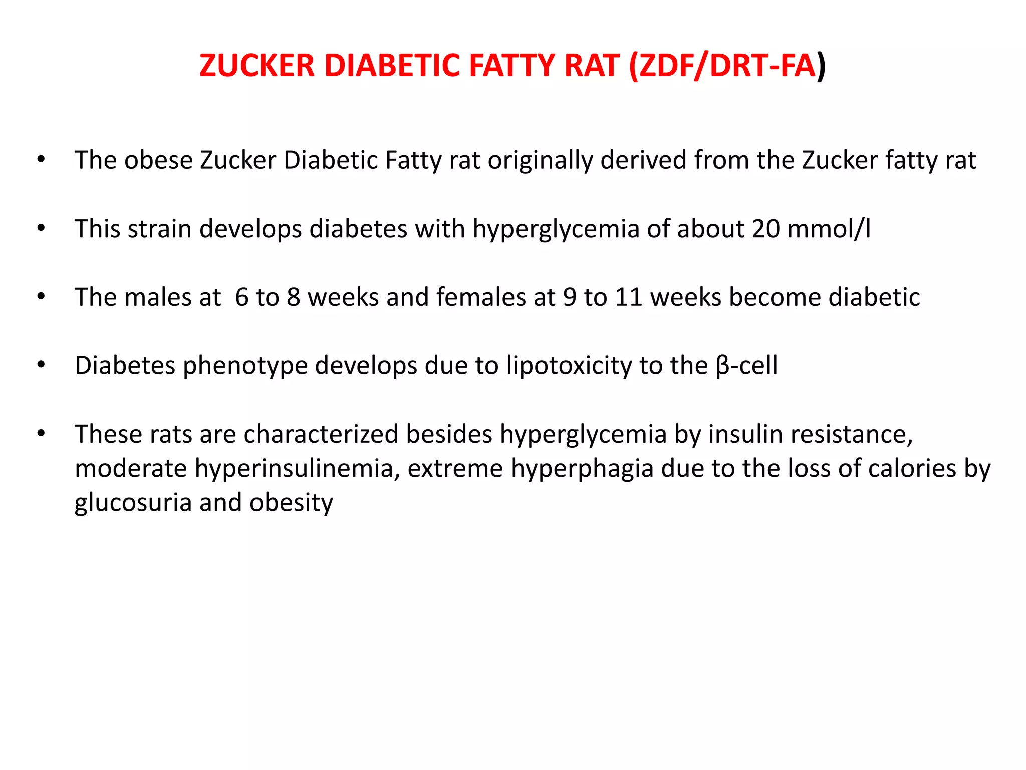 Zucker Rats screening model for diabetes | PPTX