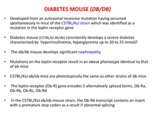 screening model for diabetes | PPTX