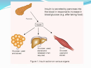 Insulin and Oral Hypoglycemics | PPTX
