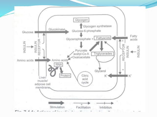 Insulin and Oral Hypoglycemics | PPTX