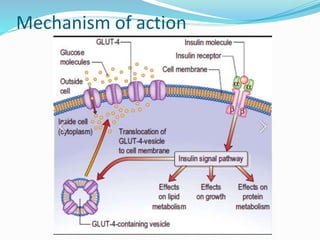 Insulin and Oral Hypoglycemics | PPTX