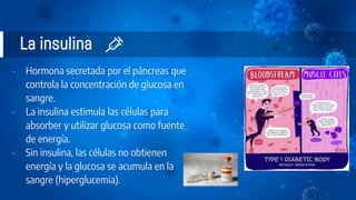 - Hormona secretada por el páncreas que
controla la concentración de glucosa en
sangre.
- La insulina estimula las células para
absorber y utilizar glucosa como fuente
de energía.
- Sin insulina, las células no obtienen
energía y la glucosa se acumula en la
sangre (hiperglucemia).
La insulina
 