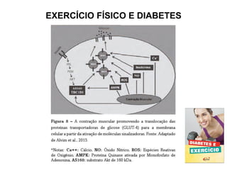 EXERCÍCIO FÍSICO E DIABETES
 