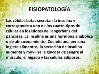 FISIOPATOLOGÍA
Las células betas secretan la insulina y
corresponde a uno de los cuatro tipos de
células en los islotes de Langerhans del
páncreas. La insulina es una hormona anabólica
o de almacenamiento. Cuando una persona
ingiere alimentos, la secreción de insulina
aumenta y moviliza la glucosa de sangre al
musculo, el hígado y las células adiposas.
 