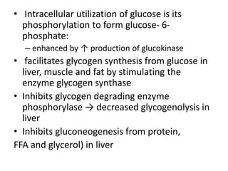 • Intracellular utilization of glucose is its
phosphorylation to form glucose- 6-
phosphate:
– enhanced by ↑ production of glucokinase
• facilitates glycogen synthesis from glucose in
liver, muscle and fat by stimulating the
enzyme glycogen synthase
• Inhibits glycogen degrading enzyme
phosphorylase → decreased glycogenolysis in
liver
• Inhibits gluconeogenesis from protein,
FFA and glycerol) in liver
 