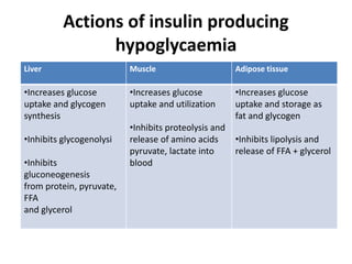 Actions of insulin producing
hypoglycaemia
Liver Muscle Adipose tissue
•Increases glucose
uptake and glycogen
synthesis
•Inhibits glycogenolysi
•Inhibits
gluconeogenesis
from protein, pyruvate,
FFA
and glycerol
•Increases glucose
uptake and utilization
•Inhibits proteolysis and
release of amino acids
pyruvate, lactate into
blood
•Increases glucose
uptake and storage as
fat and glycogen
•Inhibits lipolysis and
release of FFA + glycerol
 
