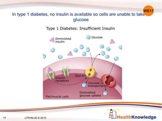 14
In type 1 diabetes, no insulin is available so cells are unable to take in
glucose
WB17
LTPHN/JS © 2010
 