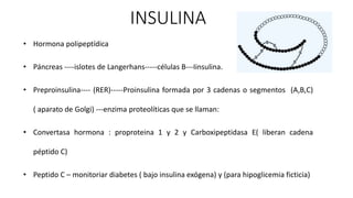 INSULINA
• Hormona polipeptídica
• Páncreas ----islotes de Langerhans-----células B---Iinsulina.
• Preproinsulina---- (RER...
