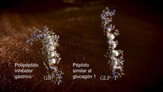 Polipéptido
inhibidor
gástrico
Péptido
similar al
glucagón 1
 