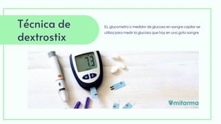 es una presentacion relacionado con diabetes | PDF
