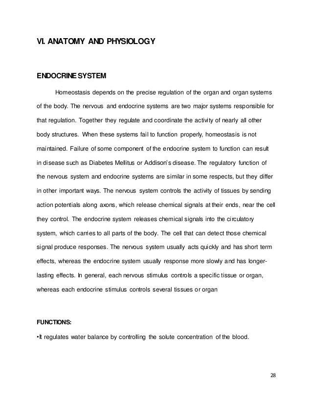 Custom essay and dissertation writing service it professional