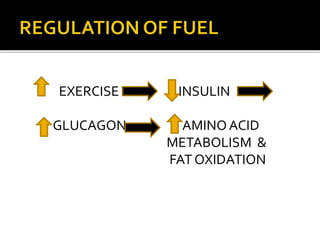 EXERCISE INSULIN
GLUCAGON AMINOACID
METABOLISM &
FAT OXIDATION
 