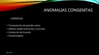 CARDIACAS:
= Transposición de grandes vasos
= Defecto septal ventricular y auricular.
= Coartación de la aorta.
= Cardiomegalia.
Reece 1999.
24
ANOMALIAS CONGENITAS
 