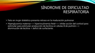 SÍNDROME DE DIFICULTAD
RESPIRATORIA
• Feto en mujer diabética presenta retraso en la maduración pulmonar
• Hiperglucemia materna—> hiperinsulinemia fetal—> inhibe acción del cortisol para
estimular para estimular producción de lecitina en células B de pulmón—>
disminución de lecitina = deficit de surfactante.
 