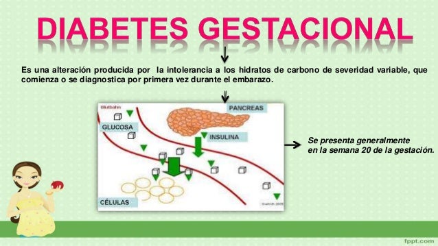 Que Es La Diabetes Gestacional Fisiopatologia Que Es La Diabetes Gestacional Fisiopatologia