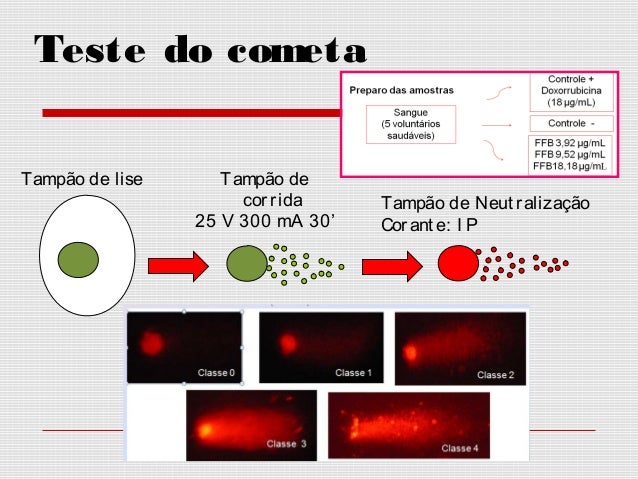 Ensaio cometa