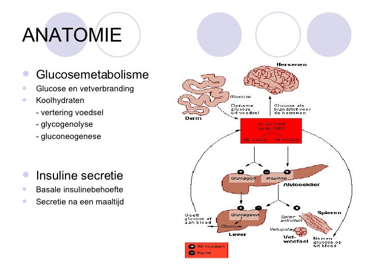 Diabetes Mellitus