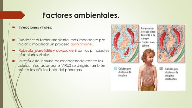 Diabetes mellitus-tipo-1 Diabetes mellitus-tipo-1