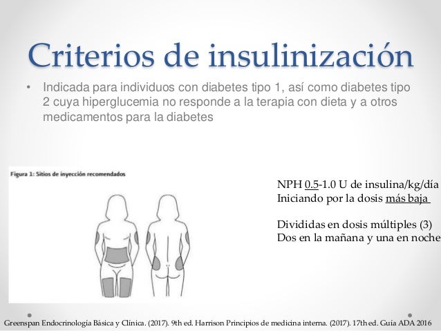 Diabetes mellitus tipo 1 Diabetes mellitus tipo 1