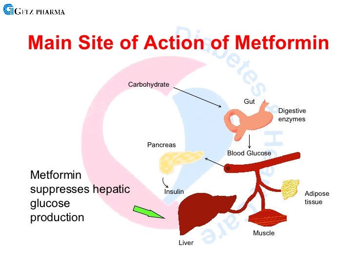 does metformin and weight