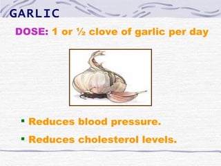 GARLIC
DOSE: 1 or ½ clove of garlic per day




  Reduces blood pressure.
  Reduces cholesterol levels.
 