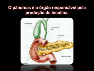 O pâncreas é o órgão responsável pela produção de insulina.