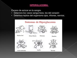 HIPERGLUCEMIA.
Exceso de azúcar en la sangre.
• Deteriora los vasos sanguíneos, los del corazón
• Deteriora tejidos del organismo ojos, riñones, nervios.

 