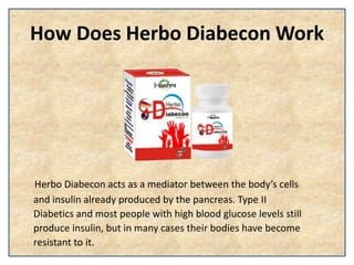 How Does Herbo Diabecon Work
Herbo Diabecon acts as a mediator between the body’s cells
and insulin already produced by th...