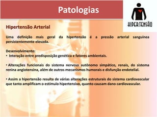 Patologias
Hipertensão Arterial
Uma definição mais geral da hipertensão é a pressão arterial sanguínea
persistentemente elevada.

Desenvolvimento:
• Interação entre predisposição genética e fatores ambientais.

• Alterações funcionais do sistema nervoso autônomo simpático, renais, do sistema
renina angiotensina, além de outros mecanismos humorais e disfunção endotelial.

• Assim a hipertensão resulta de várias alterações estruturais do sistema cardiovascular
que tanto amplificam o estímulo hipertensivo, quanto causam dano cardiovascular.
 