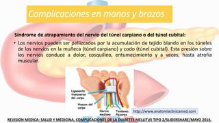 Complicaciones en manos y brazos
Síndrome de atrapamiento del nervio del túnel carpiano o del túnel cubital:
• Los nervios pueden ser pellizcados por la acumulación de tejido blando en los túneles
de los nervios en la muñeca (túnel carpiano) y codo (túnel cubital). Esta presión sobre
los nervios conduce a dolor, cosquilleo, entumecimiento y a veces, hasta atrofia
muscular.
REVISION MEDICA: SALUD Y MEDICINA, COMPLICACIONES DE LA DIABETES MELLITUS TIPO 2/SLIDERSHARE/MAYO 2016.
http://www.anatomiaclinicamed.com
 