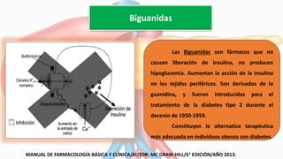 Biguanidas
Las Biguanidas son fármacos que no
causan liberación de insulina, no producen
hipoglucemia. Aumentan la acción de la insulina
en los tejidos periféricos. Son derivados de la
guanidina, y fueron introducidas para el
tratamiento de la diabetes tipo 2 durante el
decenio de 1950-1959.
Constituyen la alternativa terapéutica
más adecuada en individuos obesos con diabetes.
MANUAL DE FARMACOLOGÍA BÁSICA Y CLÍNICA/AUTOR: MC GRAW HILL/6° EDICIÓN/AÑO 2013.
 