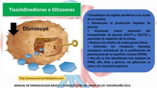 Tiazolidinedionas o Glitazonas
• Sensibilizan los tejidos periféricos a la acción
de la insulina.
• Disminuyen la producción hepática de
glucosa.
• Ocasionan mayor expresión del
transportador de glucosa (GLUT1 y GLUT2) y
aumentan la captación de la misma.
• Reducen los niveles de ácidos grasos libres.
• Estimulan los receptores llamados
receptores activadores de la proliferación de
peroxisomas de la superficie nuclear (PPAR).
• Hoy día se han identificado tres subtipos de
PPAR, alfa, beta y gamma, las glitazonas se
unen a los receptores gamma.
Disminuye
MANUAL DE FARMACOLOGÍA BÁSICA Y CLÍNICA/AUTOR: MC GRAW HILL/6° EDICIÓN/AÑO 2013.
http://www.centroantidiabetico.com
 