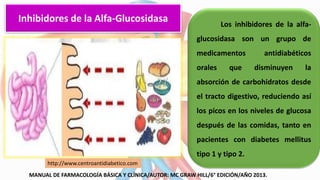 Inhibidores de la Alfa-Glucosidasa Los inhibidores de la alfa-
glucosidasa son un grupo de
medicamentos antidiabéticos
orales que disminuyen la
absorción de carbohidratos desde
el tracto digestivo, reduciendo así
los picos en los niveles de glucosa
después de las comidas, tanto en
pacientes con diabetes mellitus
tipo 1 y tipo 2.
MANUAL DE FARMACOLOGÍA BÁSICA Y CLÍNICA/AUTOR: MC GRAW HILL/6° EDICIÓN/AÑO 2013.
http://www.centroantidiabetico.com
 