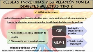 CELULAS INCRETINAS Y SU RELACIÓN CON LA
DIABETES MELLITUS TIPO 2
REVISTA MEDICA DE COSTA RICA Y CENTROAMERICA LXXI /LAS HORMONAS INCRETINAS Y SU RELACIÓN CON LA DIABETES/2014
 Déficit de incretinas.
Las incretinas son hormonas producidas por el tracto gastrointestinal en respuestas la
ingesta de alimentos y con efecto sobre las células de los islotes de langerhans
 Aumenta la secreción y liberación de
insulina
 Disminuye la secreción de glucagón
• Polipéptido
insulinotropico
gástrico
GIP
• Péptido similar
al glucagón.GLP-1
Dipeptilpeptidasa DPP4
 