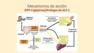 Mecanismos de acción
iDPP-4 (gliptinas)/Análogos de GLP-1
 