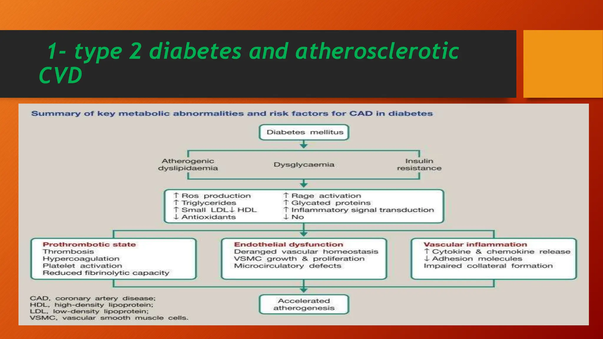 diabetes and cardiovascular disease .pptx