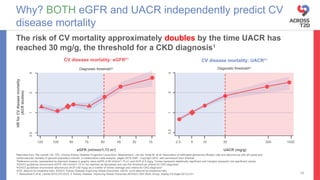 Diabetic Kidney Disease Updates and Management | PPTX