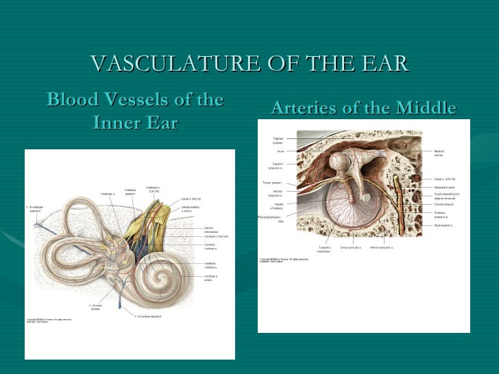 Diabetes And Hearing Loss Ada