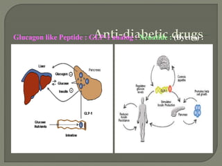 Glucagon like Peptide : GLP-1 analog : Xenatide : (Byetta) :
 
