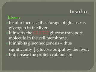 Liver :
Insulin increase the storage of glucose as
glycogen in the liver.
It inserts the GLUT-2 glucose transport
molecule in the cell membrane.
It inhibits gluconeogenesis – thus
significantly ↓ glucose output by the liver.
It decrease the protein catabolism.
 