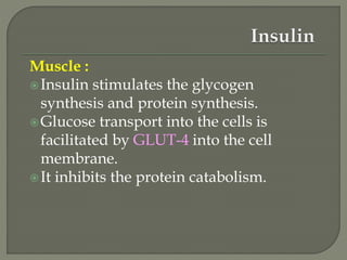 Muscle :
Insulin stimulates the glycogen
synthesis and protein synthesis.
Glucose transport into the cells is
facilitated by GLUT-4 into the cell
membrane.
It inhibits the protein catabolism.
 