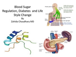 Blood Sugar
Regulation, Diabetes and Life
Style Change
By
Zahida Chaudhary MD
 