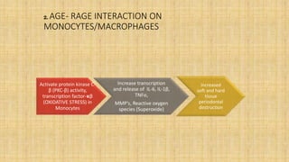 2. AGE- RAGE INTERACTION ON
MONOCYTES/MACROPHAGES
Activate protein kinase C-
β (PKC-β) activity,
transcription factor-𝛋β
(OXIDATIVE STRESS) in
Monocytes
Increase transcription
and release of IL-6, IL-1β,
TNF⍺,
MMP’s, Reactive oxygen
species (Superoxide)
Increased
soft and hard
tissue
periodontal
destruction
 