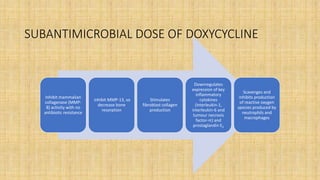 SUBANTIMICROBIAL DOSE OF DOXYCYCLINE
Inhibit mammalian
collagenase (MMP-
8) activity with no
antibiotic resistance
inhibit MMP-13, so
decrease bone
resorption
Stimulates
fibroblast collagen
production
Downregulates
expression of key
inflammatory
cytokines
(interleukin-1,
interleukin-6 and
tumour necrosis
factor-∝) and
prostaglandin E2
Scavenges and
inhibits production
of reactive oxygen
species produced by
neutrophils and
macrophages
 