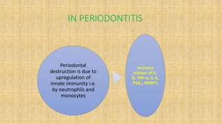 IN PERIODONTITIS
Periodontal
destruction is due to
upregulation of
innate immunity i.e.
by neutrophils and
monocytes
Increase
release of IL-
β, TNF-⍺, IL-6,
PGE2, MMP’s
 