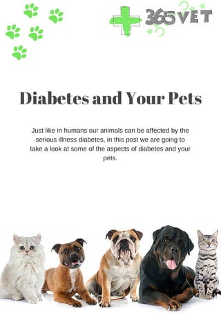 Diabetes and Your Pets
Just like in humans our animals can be affected by the
serious illness diabetes, in this post we are going to
take a look at some of the aspects of diabetes and your
pets.
 