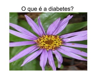 O que é a diabetes? 