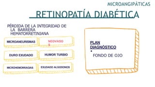 MICROANGIPÁTICAS
RETINOPATÍA DIABÉTICA
PÉRDIDA DE LA INTEGRIDAD DE
LA BARRERA
HEMATORRETINIANA
MICROANEURISMAS NEOVASO
S
DURO EXUDADO HUMOR TURBIO
MICROHEMORRAGIAS EXUDADO ALGODONOS
PLAN
DIAGNÓSTICO
FONDO DE OJO
 