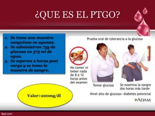 ¿QUE ES EL PTGO?

1. Se toma una muestra
   sanguínea en ayunas.
2. Se administran 75g de
   glucosa en 375 ml de
   agua.
3. Se esperan 2 horas post
   carga y se toma la
   muestra de sangre.




           Valor>200mg/dl
 