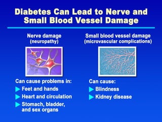 Diabetes Can Lead to Nerve
and Small Blood Vessel
Damage
 